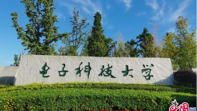 电容纹波电流测试报告模板：关键要素与撰写指南